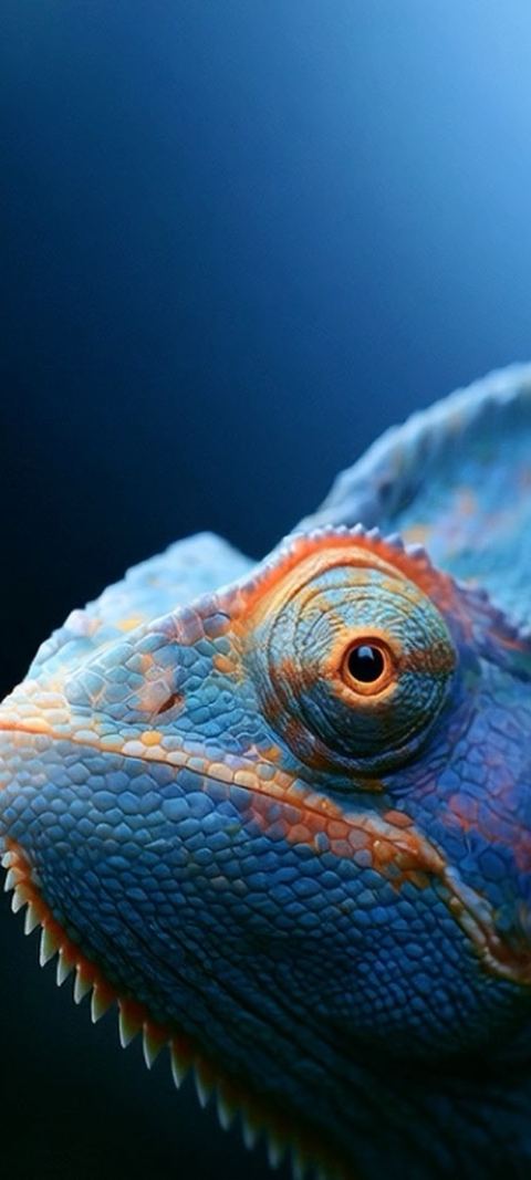 Blue Chameleon live wallpaper by ScreenLux playing on a phone
