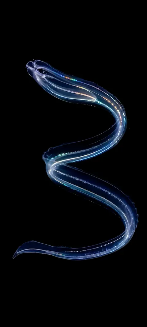 Bioluminescent Serpent — Nature wallpaper for iPhone and Android by ScreenLux