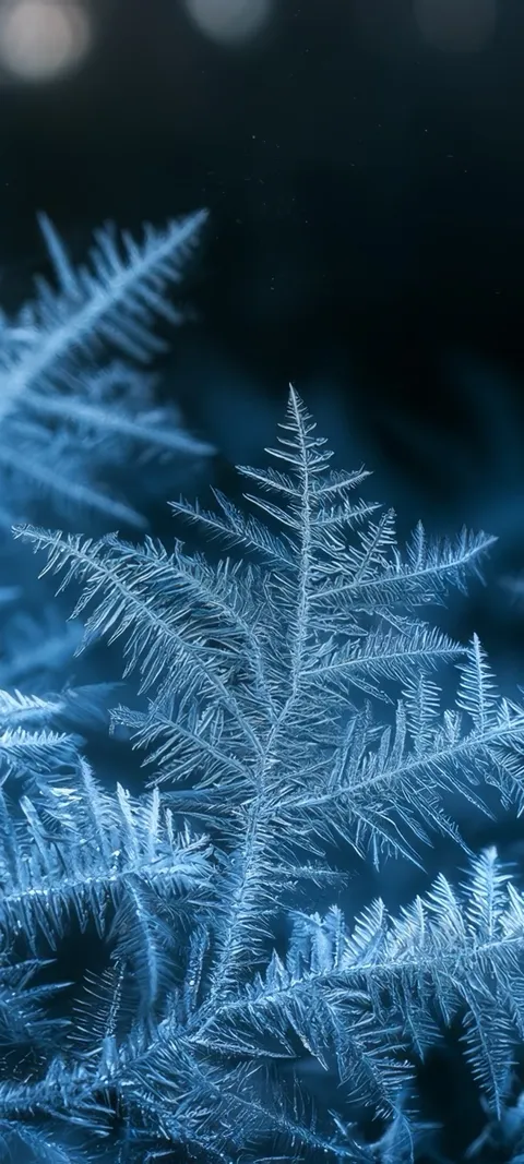 Frosty Blue Foliage — Winter wallpaper for iPhone and Android by ScreenLux