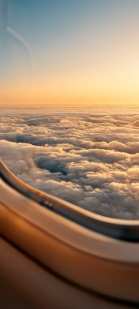 Golden Horizon — Fall wallpaper for iPhone and Android by ScreenLux