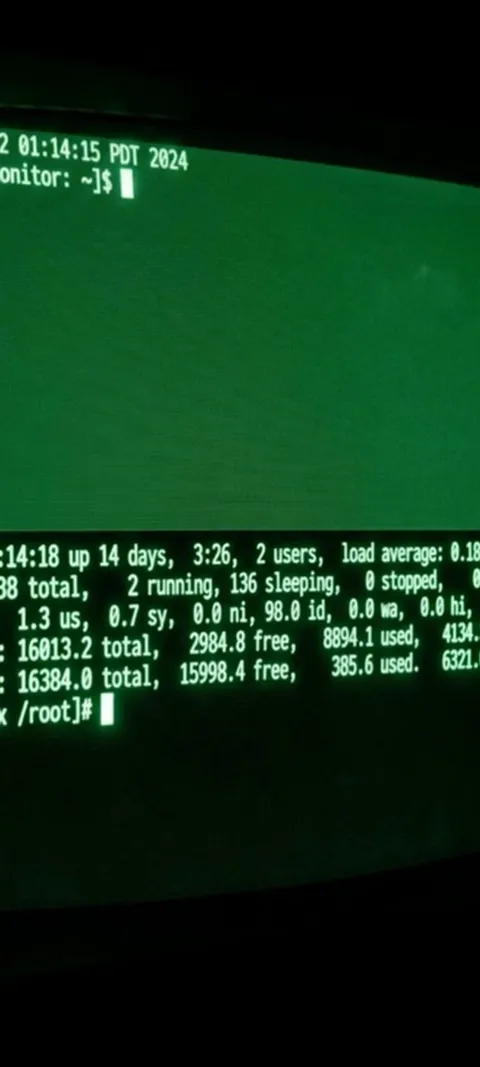 Green Terminal Screen — Android live wallpaper for iPhone and Android by ScreenLux