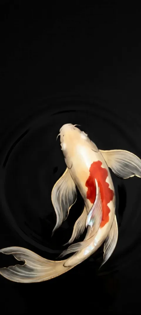 Koi Pond — Live live wallpaper for iPhone and Android by ScreenLux