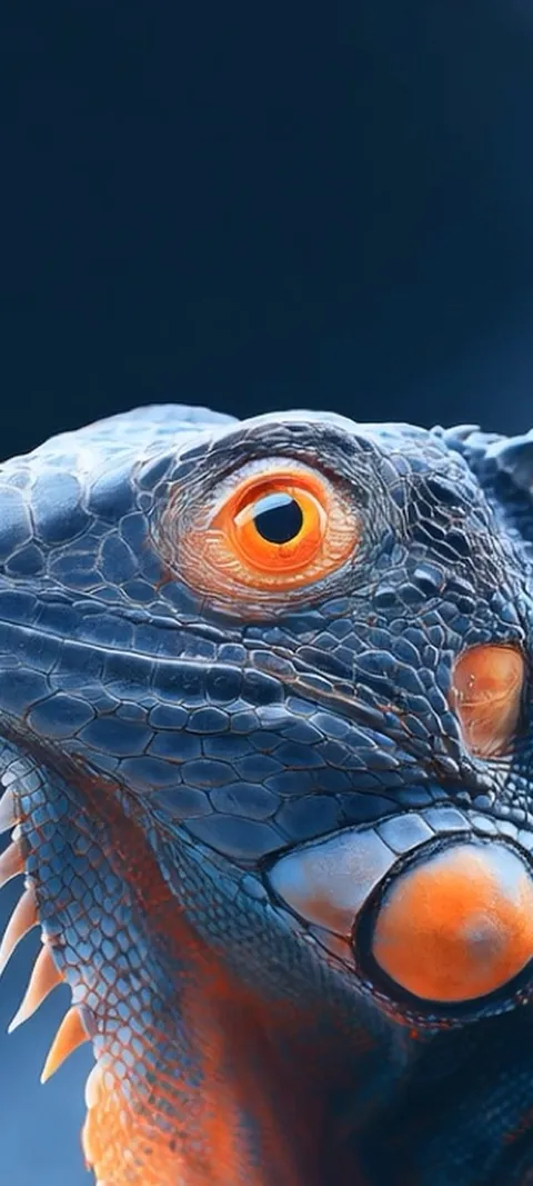 Orange Eyed Iguana — Android live wallpaper for iPhone and Android by ScreenLux