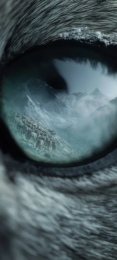 Wolf's Gaze — Animals wallpaper for iPhone and Android by ScreenLux
